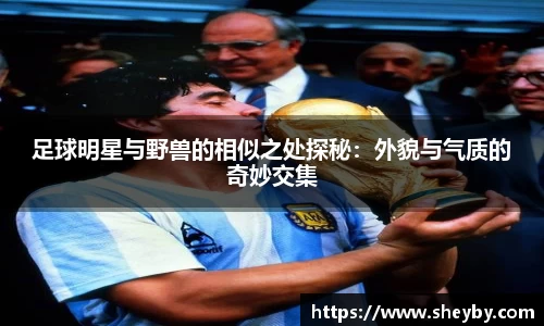 足球明星与野兽的相似之处探秘：外貌与气质的奇妙交集